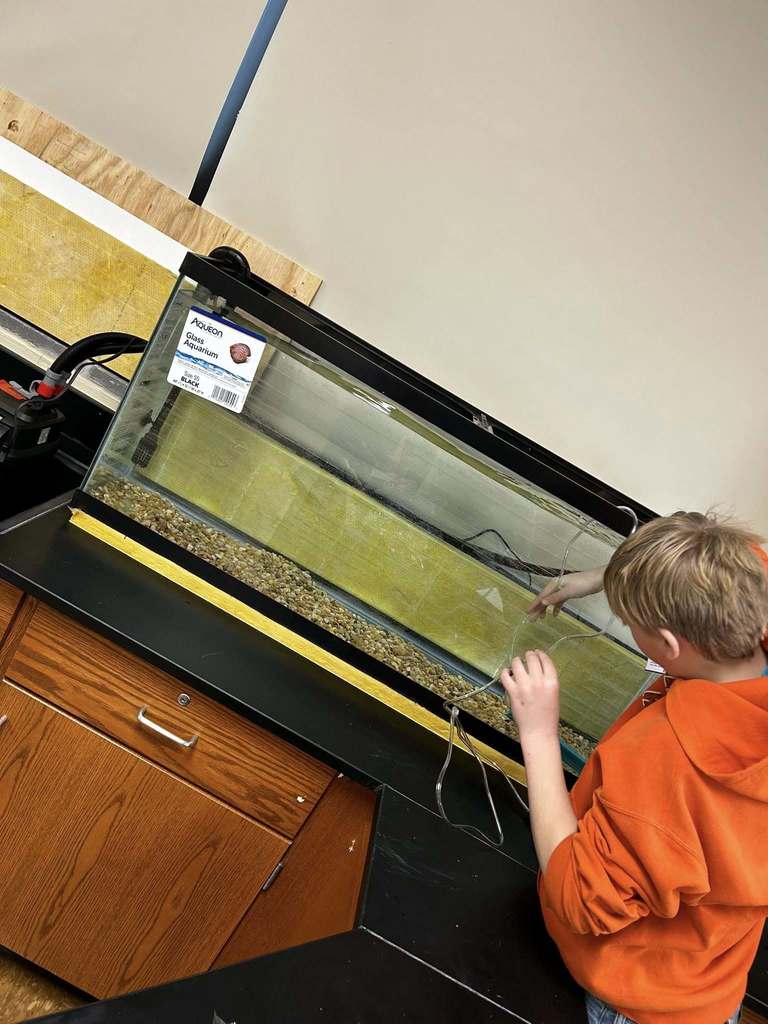 tank with trout being netted
