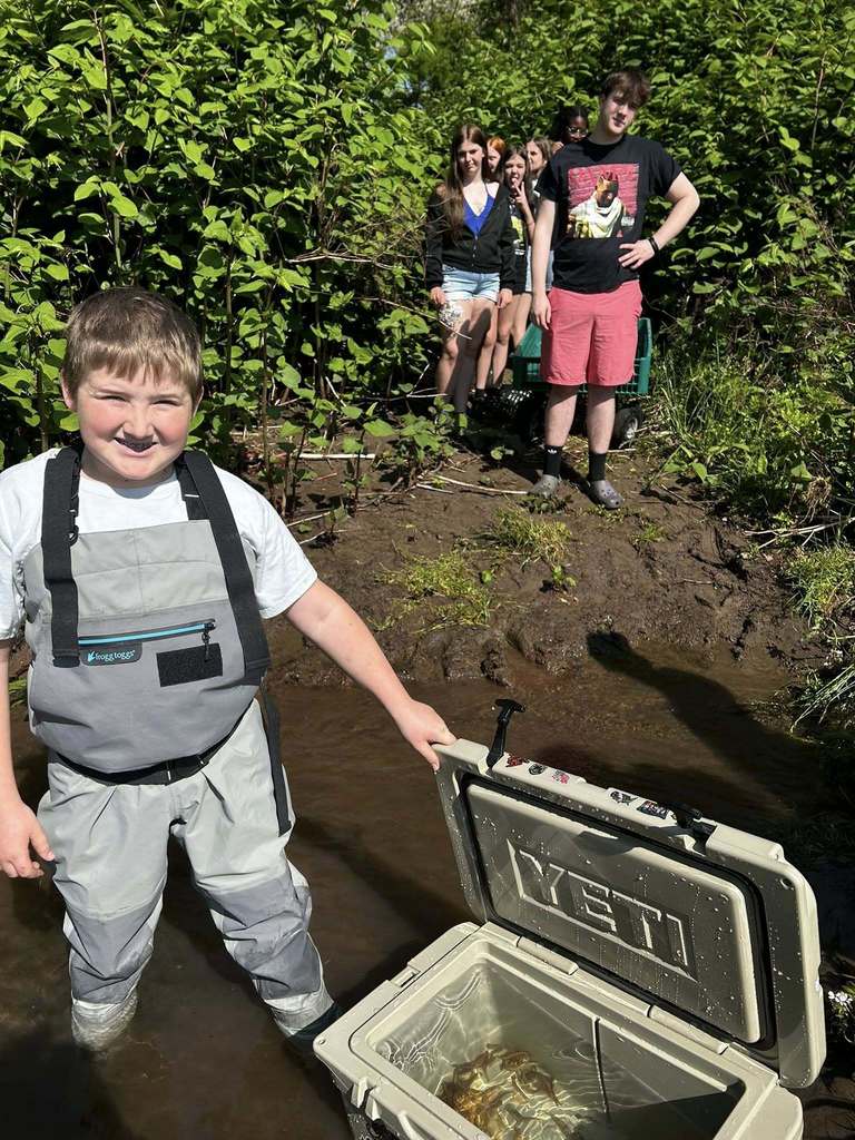 trout in a cooler to be released