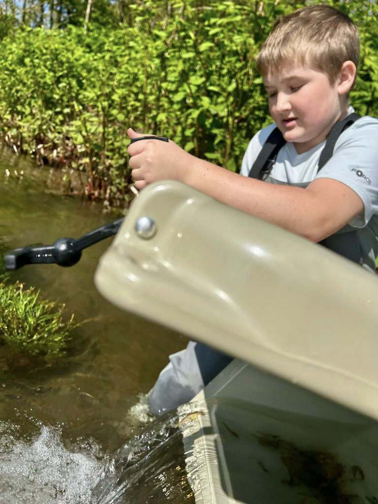 trout being released in river
