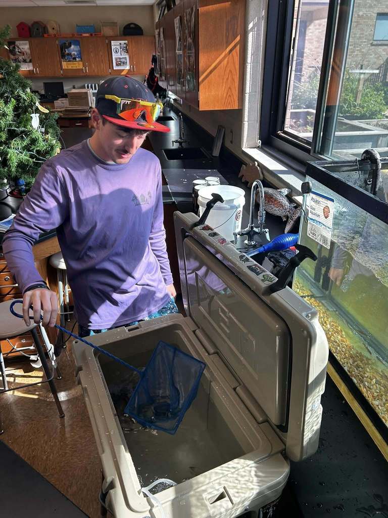 student putting trout in cooler