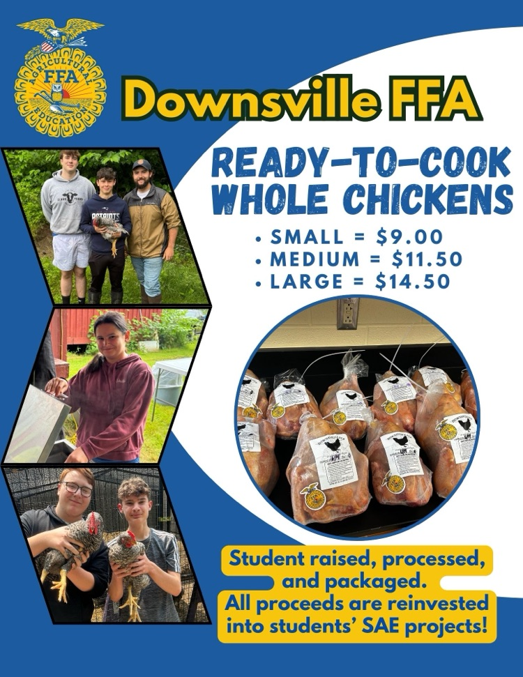 students holding chickens
