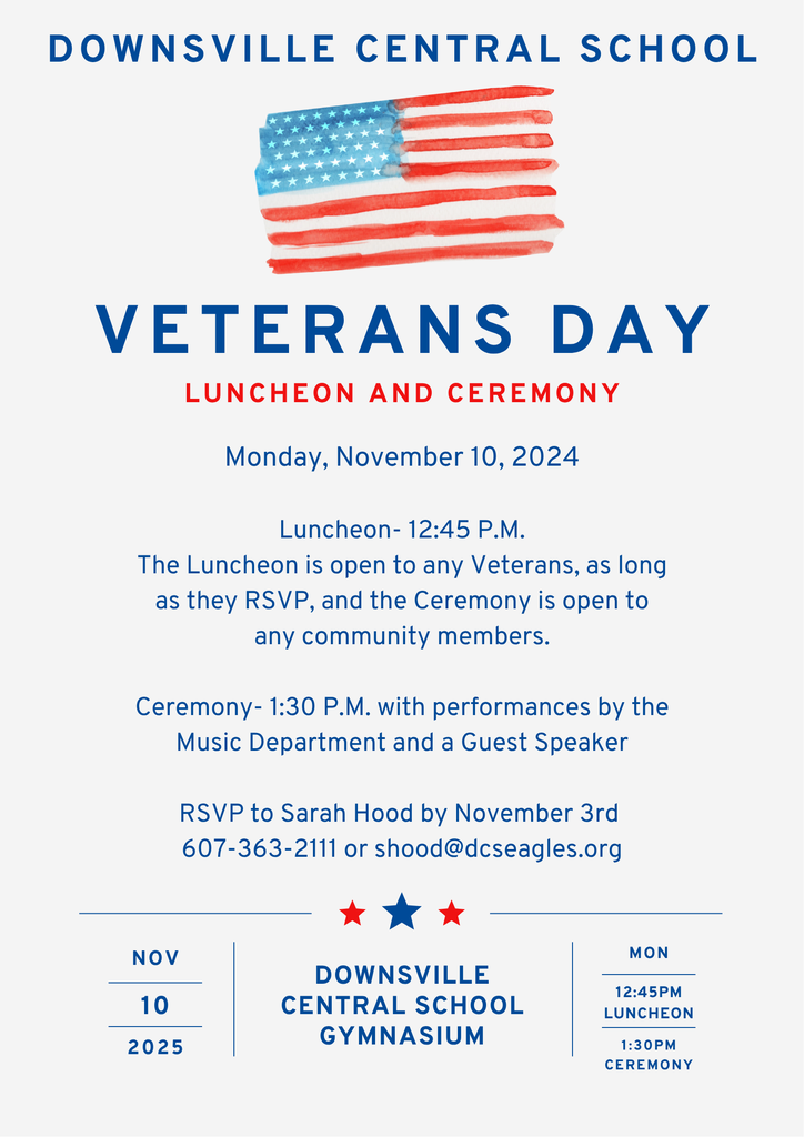 veterans day poster with stars and flag