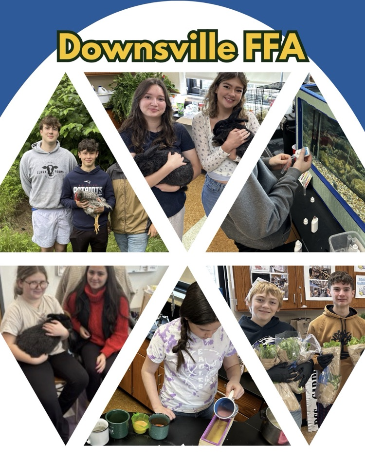 photos of students in ffa doing various projects 