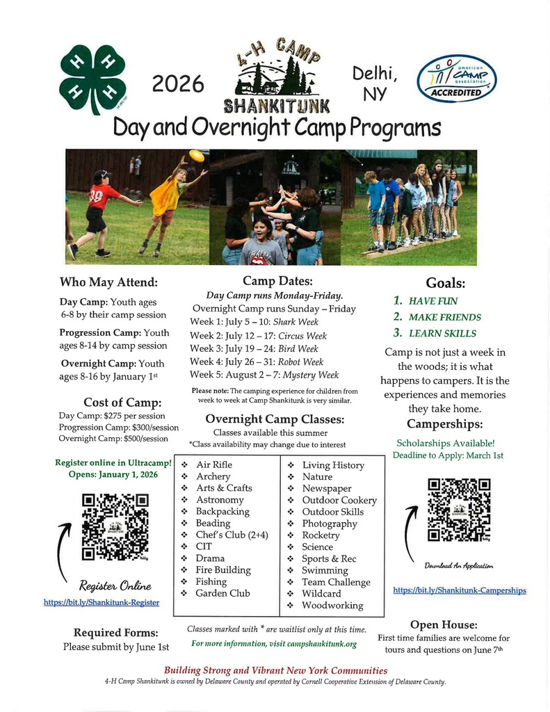 4-h camp flyer