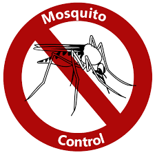 Mosquito Spraying