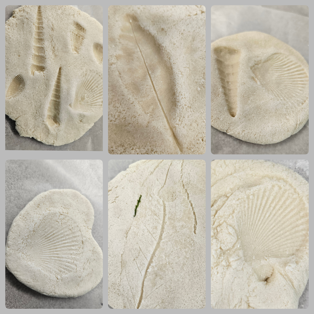 fossils