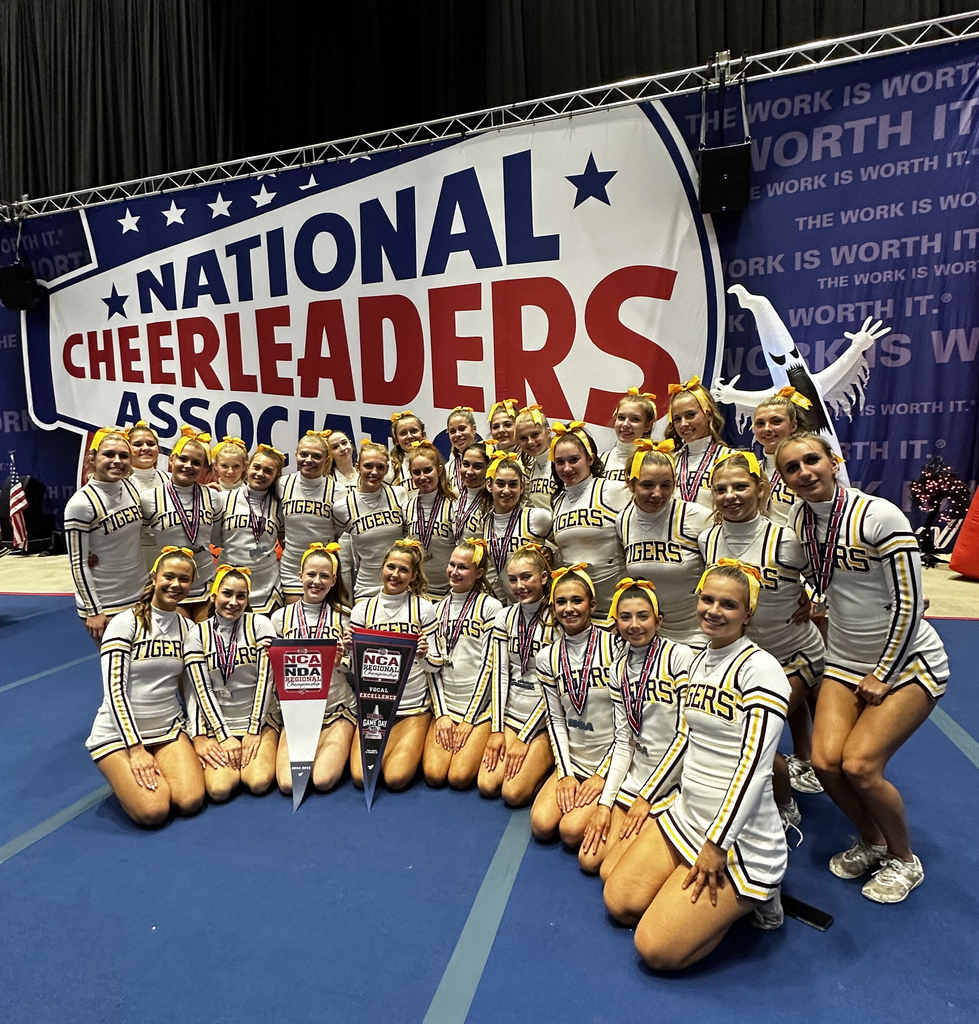 2025 DSHS Cheer Team