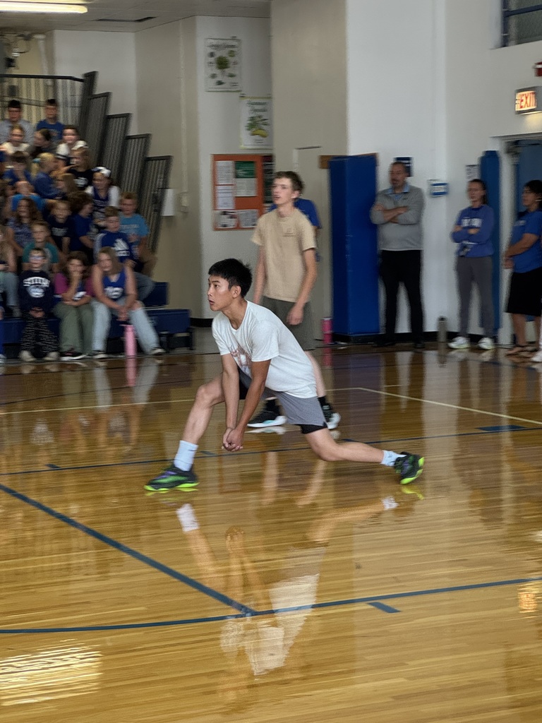 VB