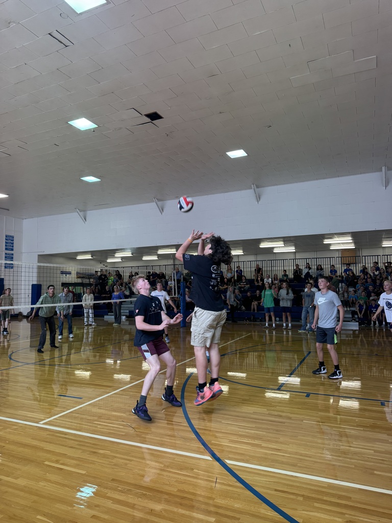 VB