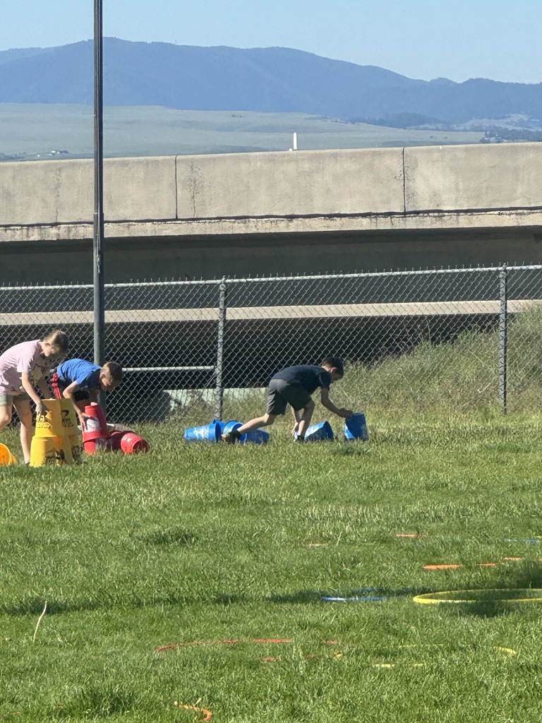Field Day