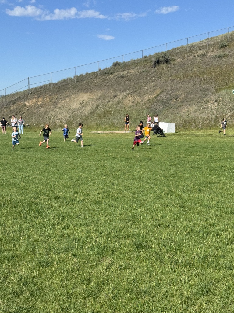 Field Day