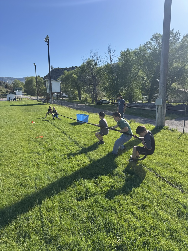 Field day
