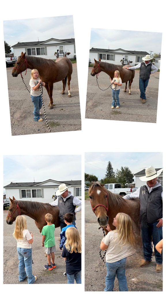 2nd grade horse