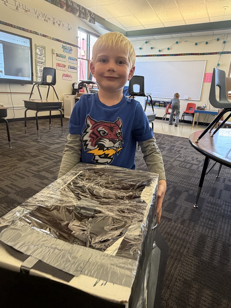 solar oven pictures