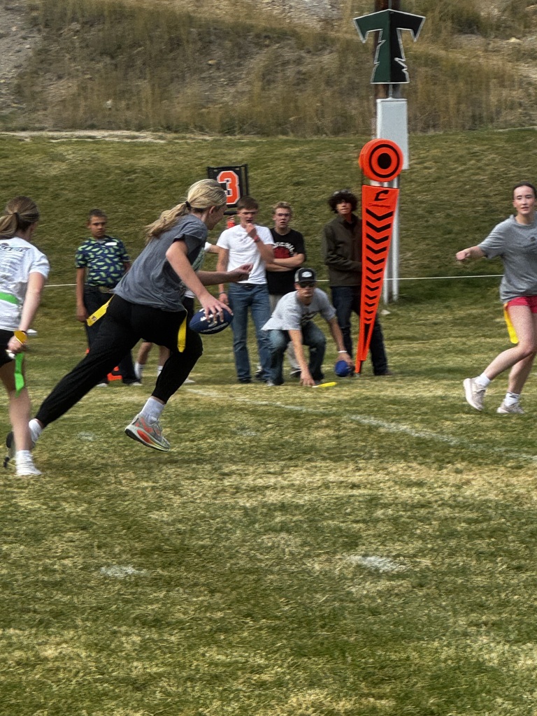 Powder puff