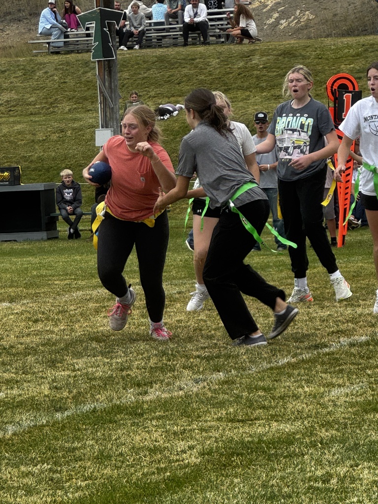 Powder Puff