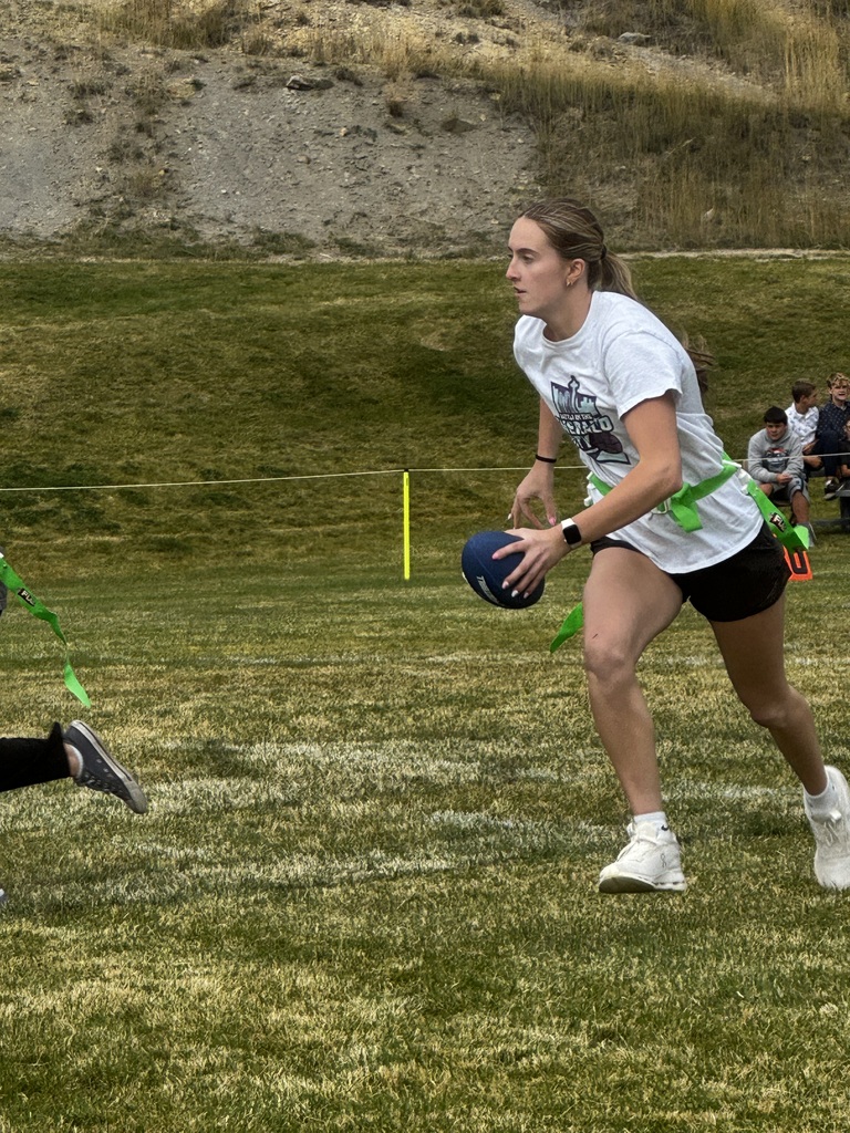 Powder puff
