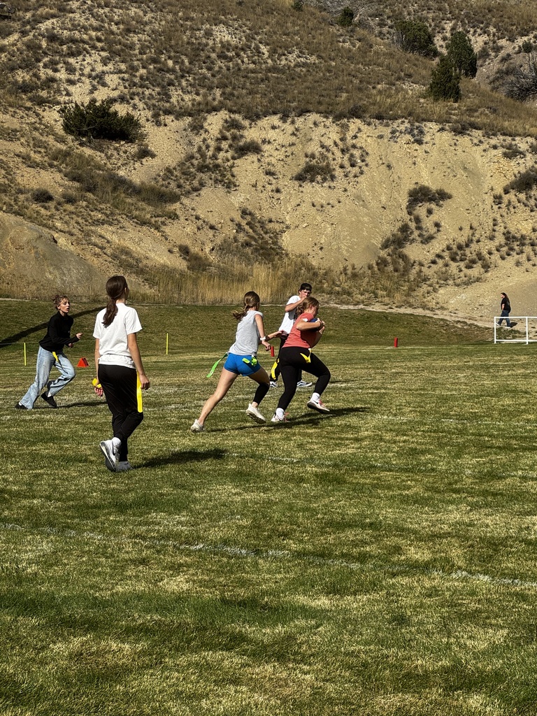 Powder puff