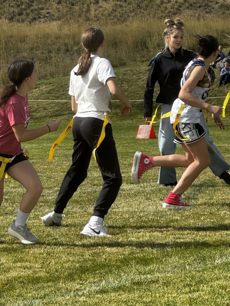 Powder puff