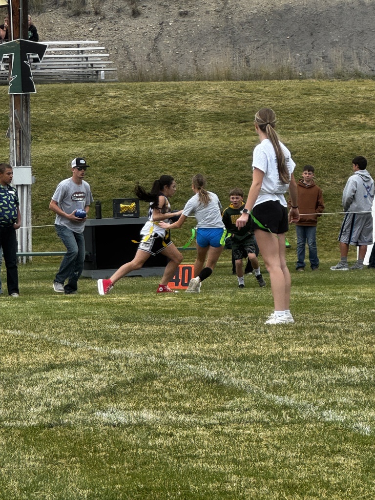 Powder puff