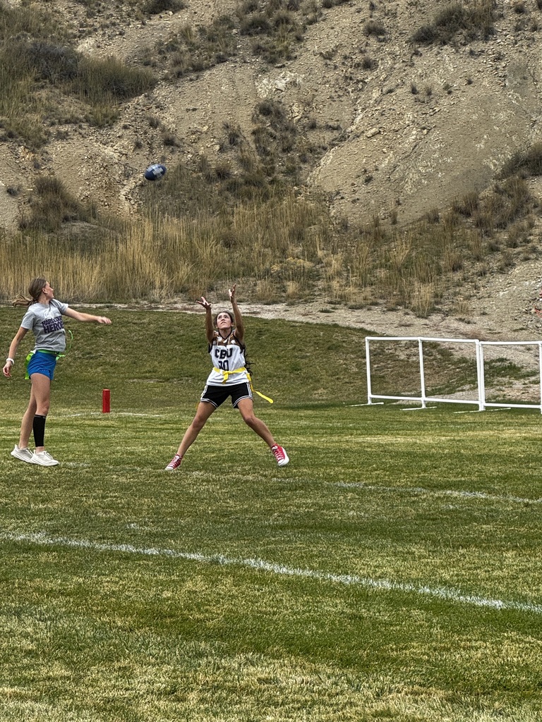 Powder Puff