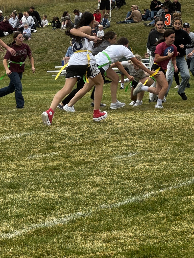 Powder Puff