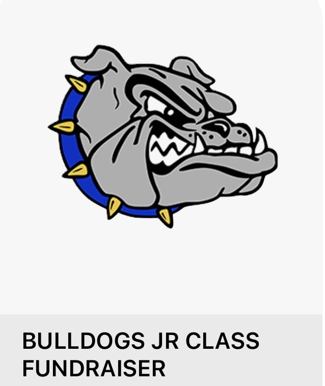 Junior Class T-shirt Sales