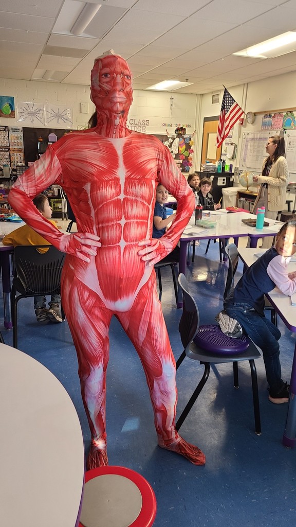 Muscle Woman Visits Third Grade! In Mrs. Preston and Mrs. Frailey’s third-grade class, students are learning all about the systems of the human body! To introduce the muscular system, Mrs. Preston transformed into her alter ego — Muscle Woman! Students made connections between the skeletal and muscular systems, discovering how their bodies move and grow. A big thank-you to our amazing teachers for making learning interactive, engaging, and meaningful for our students! 💜🦁 #LionPride #DrydenElementary #HandsOnLearning