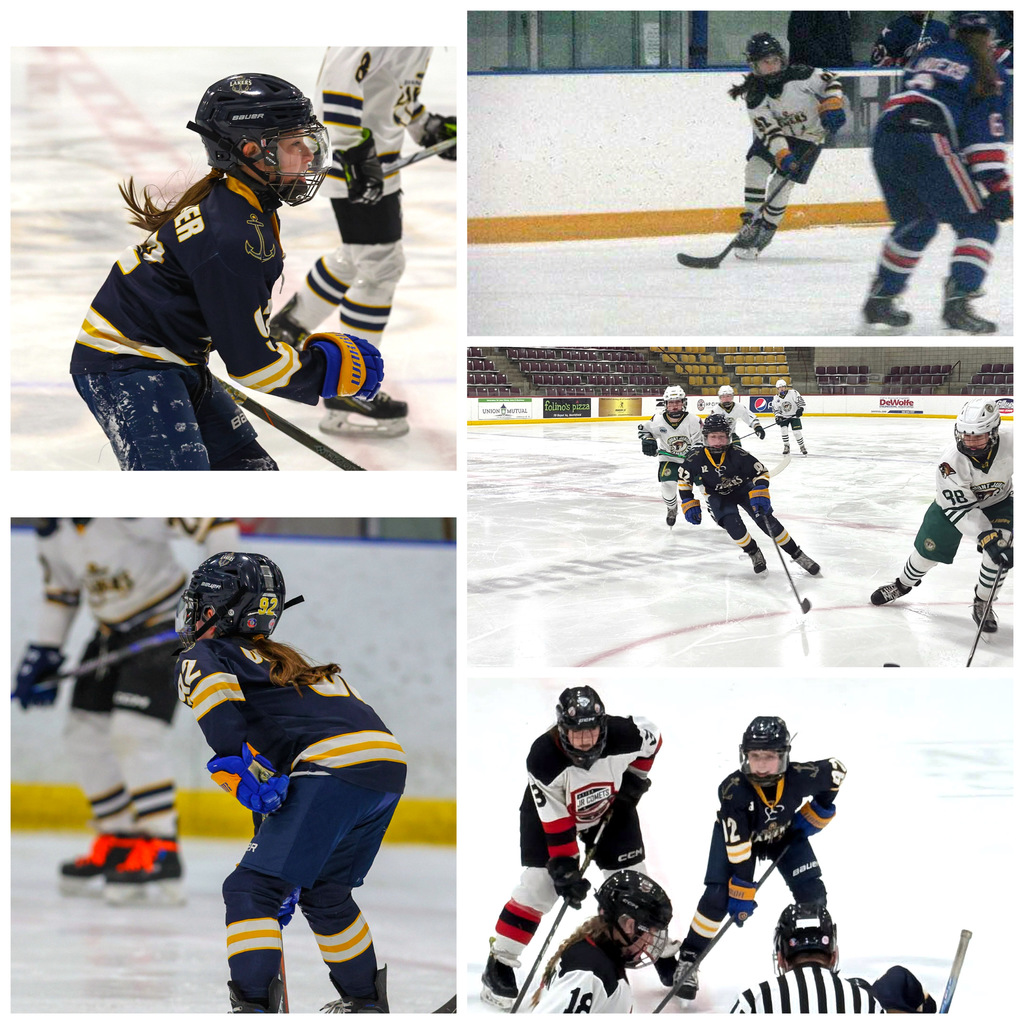 Two Dryden Lions 7th grade girls are making appearances next weekend at the New York State Amateur Hockey Association State Championships! Their hard work has them competing against the best teams in New York State at Northtown Center at Amherst in Buffalo.
Kairi Rossow #35 plays in Tier II for the Ithaca Shooting Stars TB team and Delia Dutcher #92 plays in Tier I for the Skaneateles Lakers TB team. These hard working girls practice several times a week and play over 60 games a season, often traveling hours each weekend to play! They are dedicated athletes and team leaders on and off the ice.
Good luck Delia and Kai and have fun!