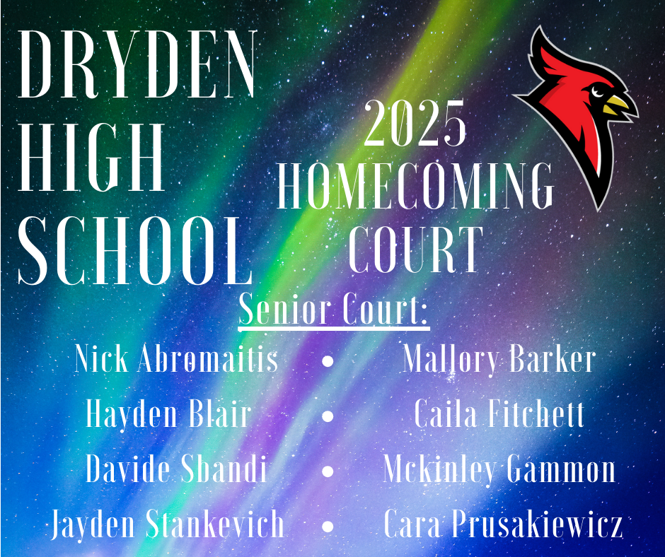 northern lights background; cardinal logo