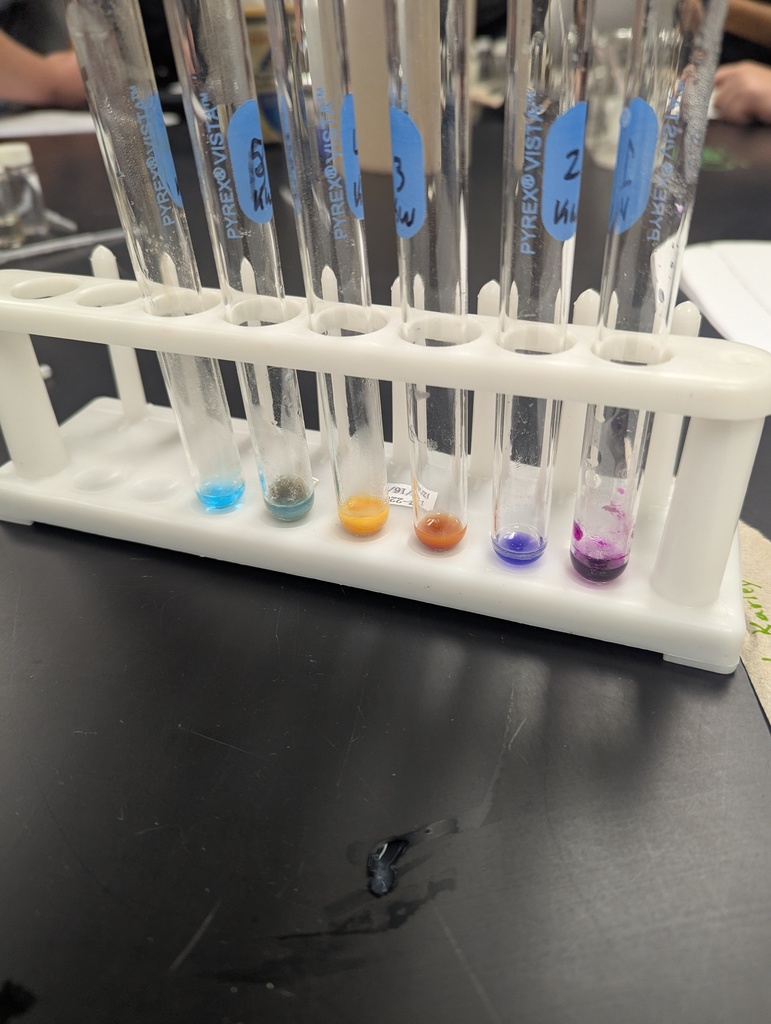 test tubes in holder