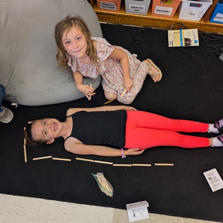 First grade students worked on measuring today! They measured things around the classroom using craft sticks. The average height was 11 craft sticks! #proud cardinal
