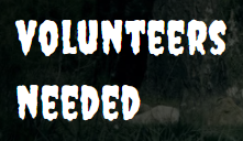 Volunteers are needed for the Boo Bash on October 24. We are looking for about 15 volunteers (parents or high school students) to help run the trunks and to run the games inside. The more volunteers we have, the more games we can have! If you are interested and available, please contact the PTA at drydenpta25@gmail.com. @TMobile @drydencardinals #FN5GL #Sweepstakes