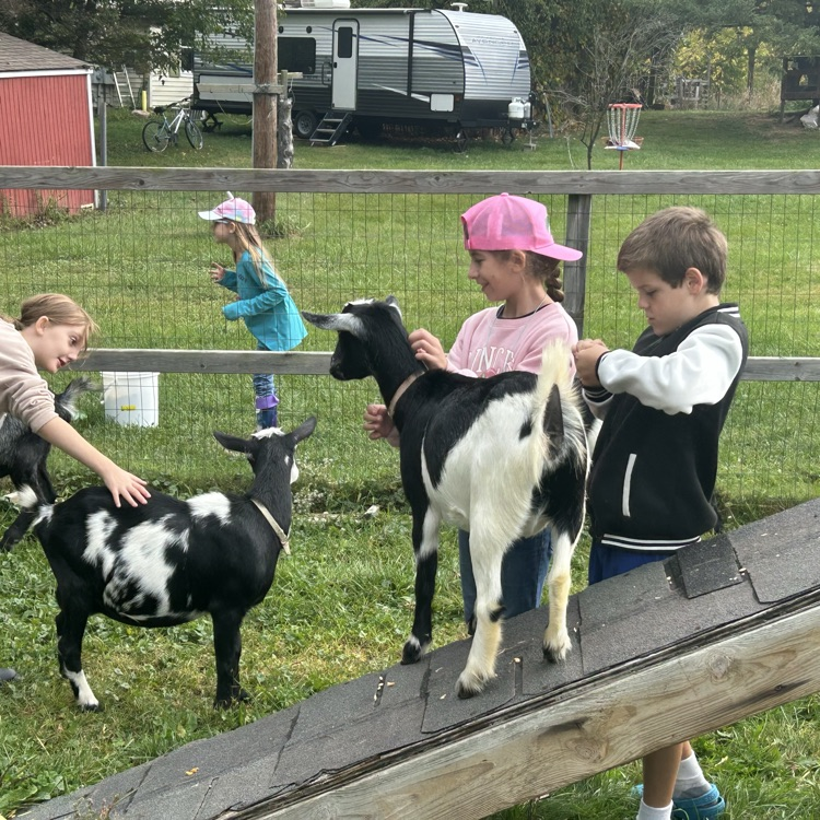 On their field trip to Camp Skyline, 4th graders learned about plants and animals in a structured garden & farm setting: