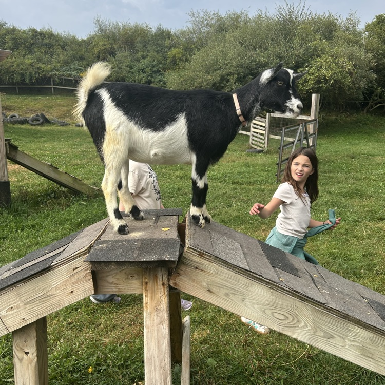 On their field trip to Camp Skyline, 4th graders learned about plants and animals in a structured garden & farm setting: