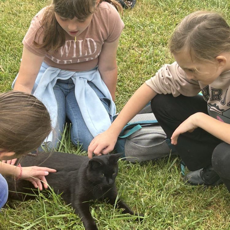 On their field trip to Camp Skyline, 4th graders learned about plants and animals in a structured garden & farm setting: