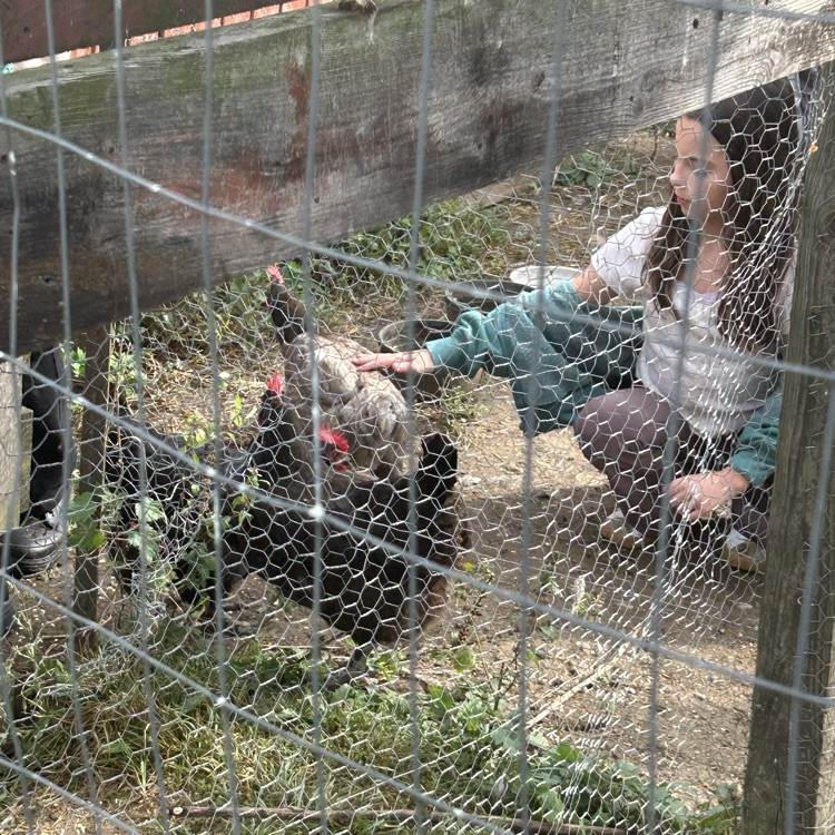 On their field trip to Camp Skyline, 4th graders learned about plants and animals in a structured garden & farm setting: