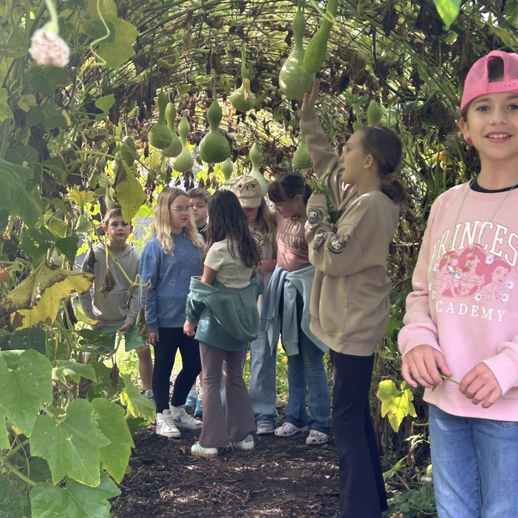 On their field trip to Camp Skyline, 4th graders learned about plants and animals in a structured garden & farm setting: