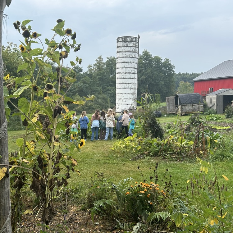 On their field trip to Camp Skyline, 4th graders learned about plants and animals in a structured garden & farm setting: