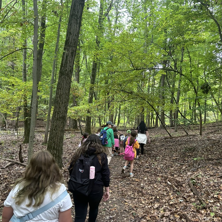 At Camp Skyline today, 4th graders also observed plants and animals in an unstructured setting, hiking through the woods to the highest point in Lapeer County!