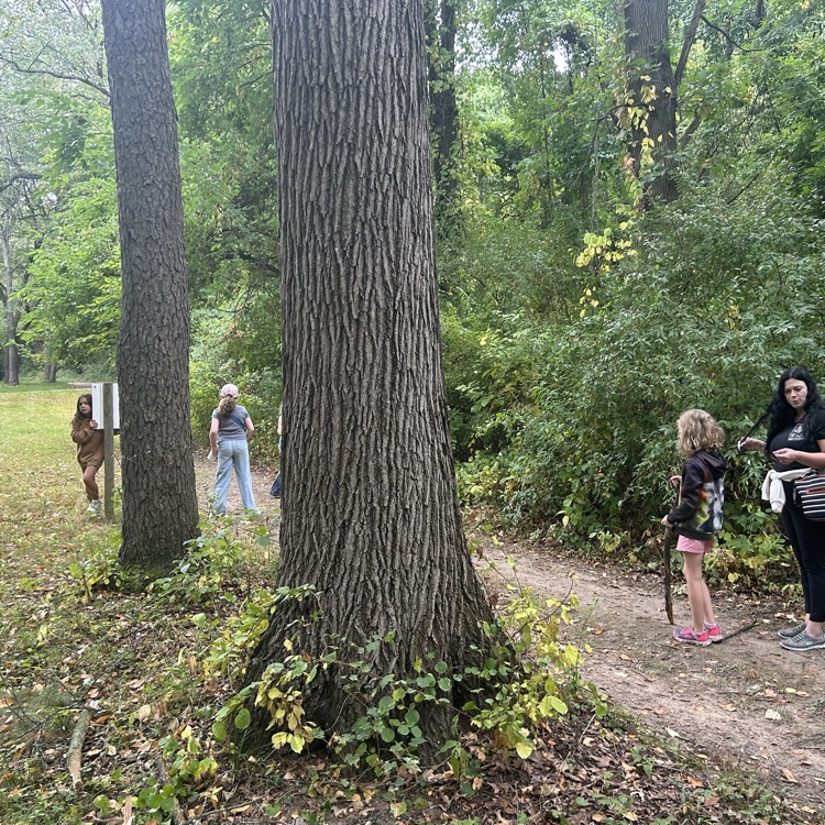 At Camp Skyline today, 4th graders also observed plants and animals in an unstructured setting, hiking through the woods to the highest point in Lapeer County!