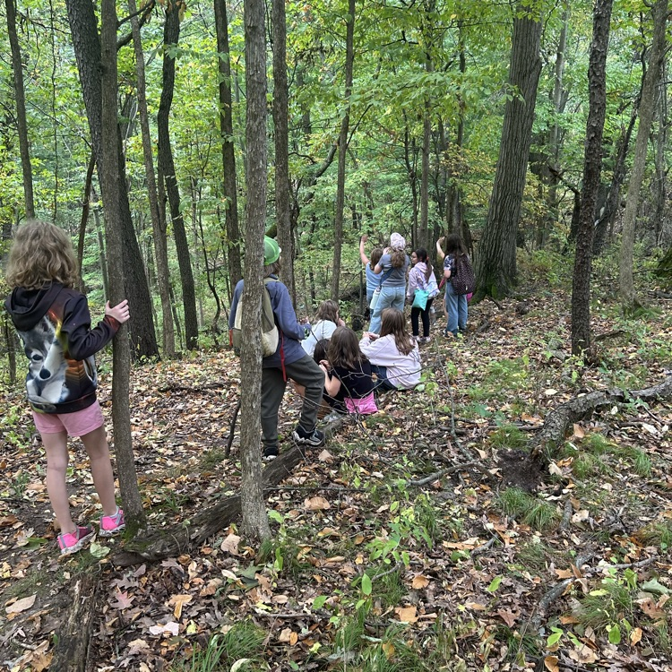 At Camp Skyline today, 4th graders also observed plants and animals in an unstructured setting, hiking through the woods to the highest point in Lapeer County!