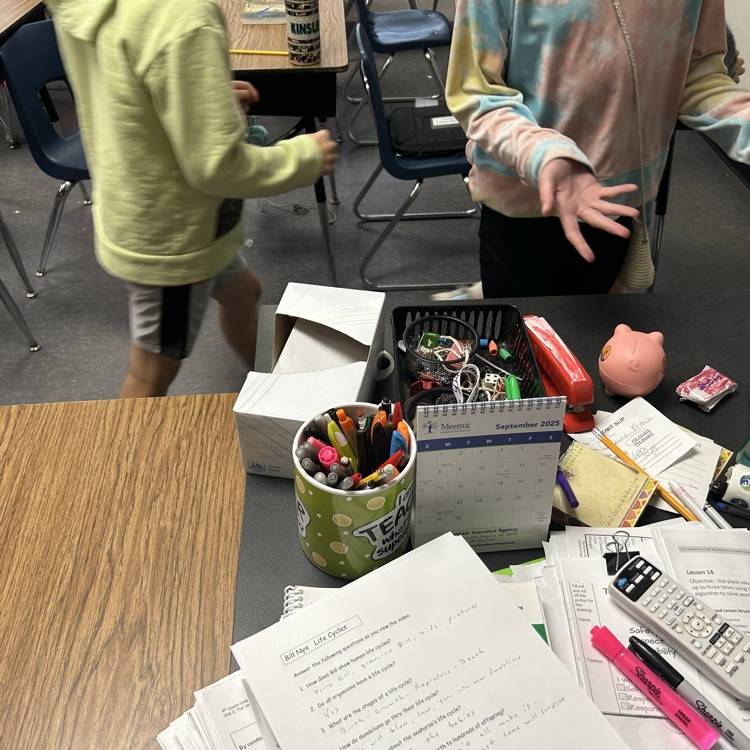 4th grade biologists “built” their own camouflaged animals today, as part of their study of animal structures: