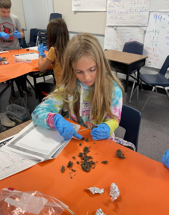 rs. Birkett's 5th Grade dissected owl pellets last week to help them understand the role of the consumer in the ecosystem. This was a great experience! 