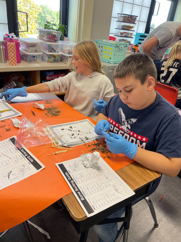 rs. Birkett's 5th Grade dissected owl pellets last week to help them understand the role of the consumer in the ecosystem. This was a great experience! 