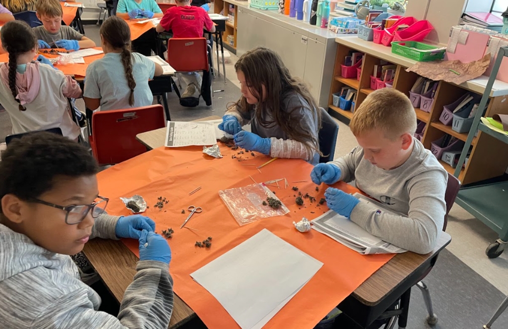rs. Birkett's 5th Grade dissected owl pellets last week to help them understand the role of the consumer in the ecosystem. This was a great experience! 