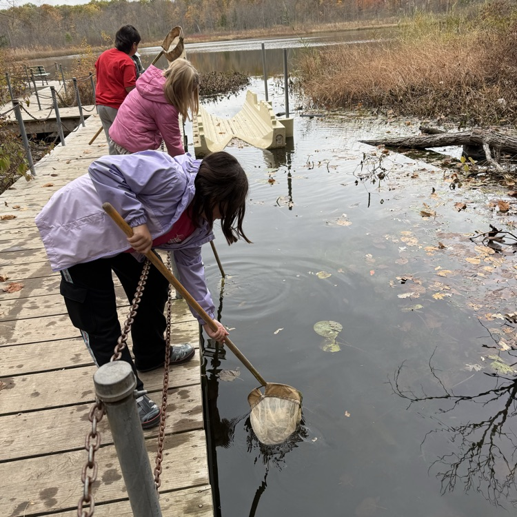 Our 3rd graders hit the trail today! They made observations of land and water species, pond dipped for hidden creatures, and learned about animal behaviors and adaptations!