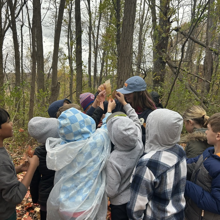 Our 3rd graders hit the trail today! They made observations of land and water species, pond dipped for hidden creatures, and learned about animal behaviors and adaptations!