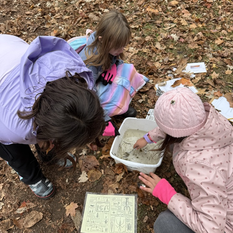 Our 3rd graders hit the trail today! They made observations of land and water species, pond dipped for hidden creatures, and learned about animal behaviors and adaptations!