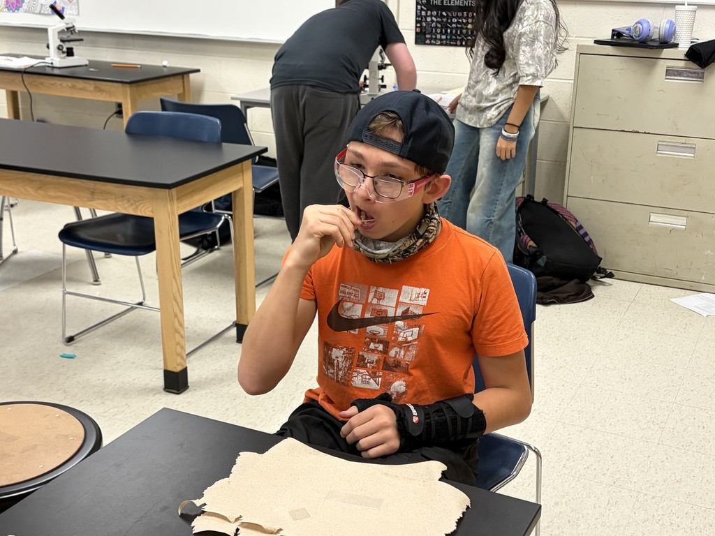 eighth grade students completing a science lab on microscopes
